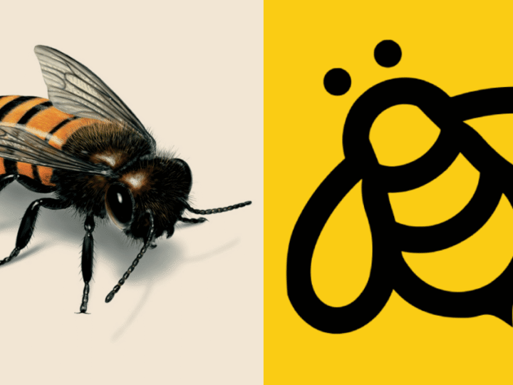 How Spelling Bee Ranks Actually Work