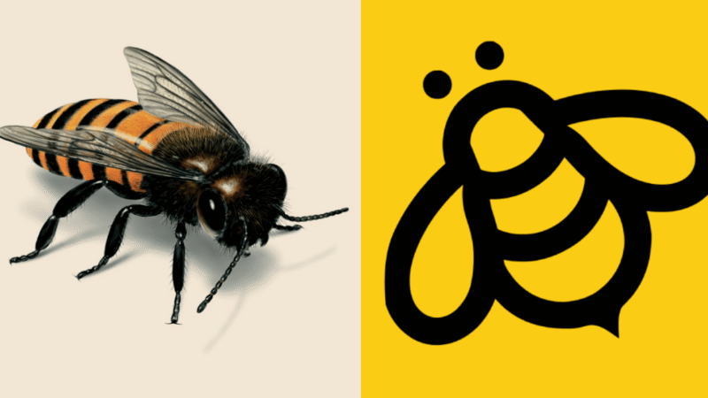 How Spelling Bee Ranks Actually Work