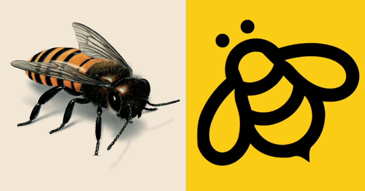How Spelling Bee Ranks Actually Work